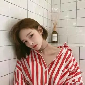 杜鹃花飞