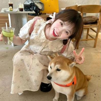 长安秘闻